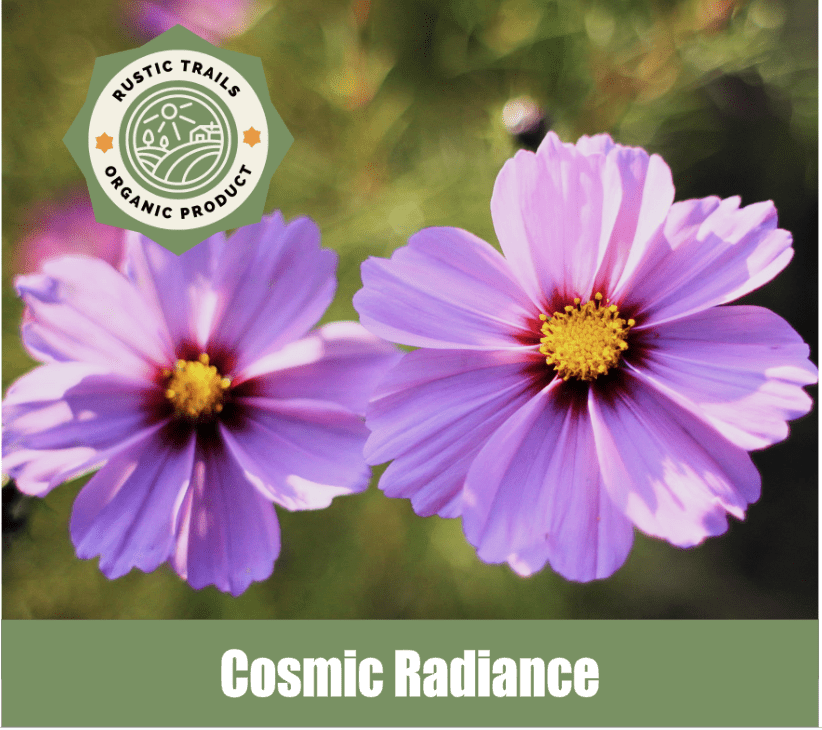 Cosmic Radiance, Cosmophyllos lumina